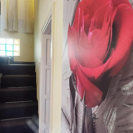 Вілла Casa De Sus Брашов Екстер'єр фото